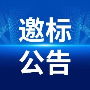 年產(chǎn)6000噸書畫用紙技術改造項目（一期工程）EPC跟蹤審計及結算審核項目招標邀請書